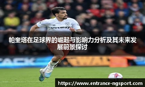 NG体育娱乐