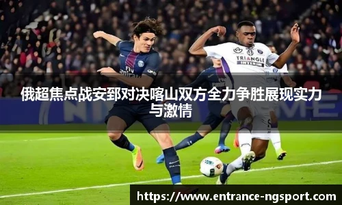 NG体育官网