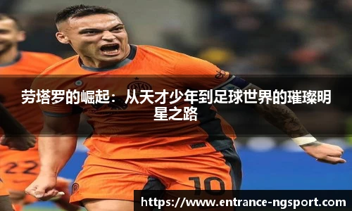 NG体育娱乐